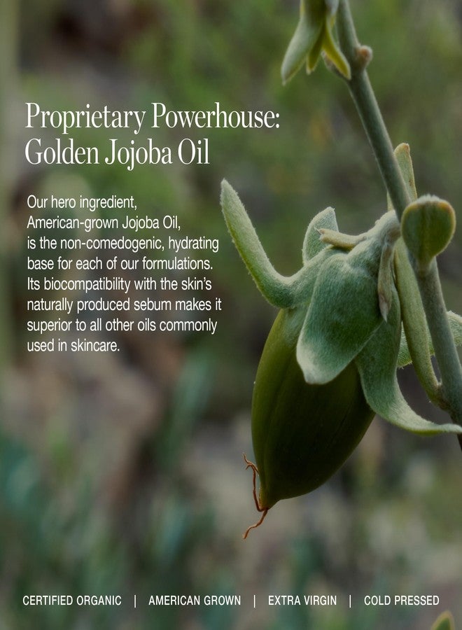 Ogee Complexion Perfecting Under Eye Concealer - Certified Organic Full Coverage Concealer - Buildable Coverage - LARCH 2.25C - Light Tan (Pink Undertones) - Image 4